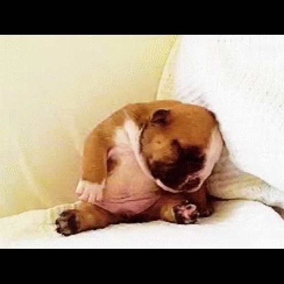 Meet your Posher, Carmen - Picture 1 of 1